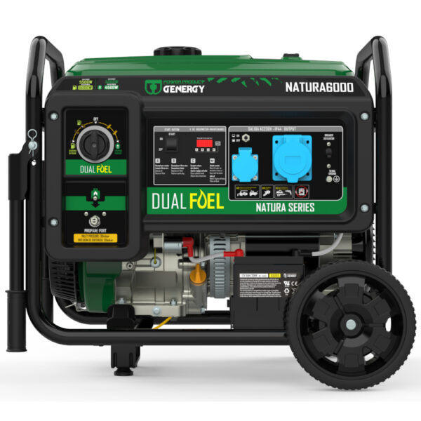 Generador 5500W-230V Gas y Gasolina Arranque Eléctrico Modelo Natura 6000 - Imagen 3