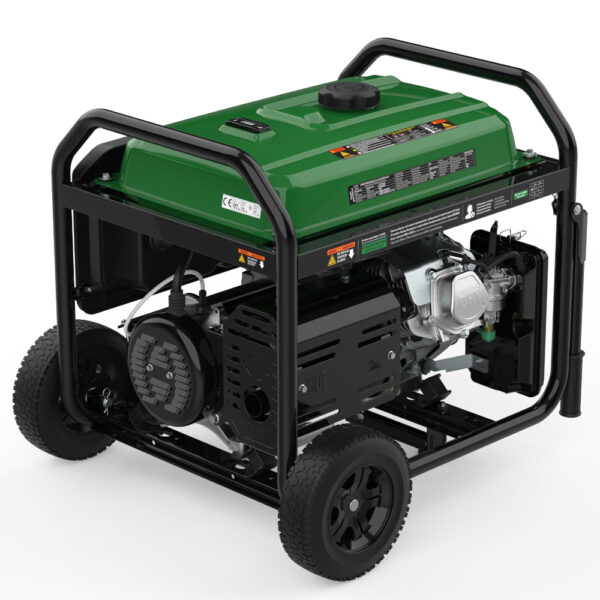 Generador 8500W-230V Gas y Gasolina Arranque Eléctrico Modelo Natura 8000 - Imagen 4